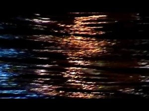 Gotan Project - La Revancha Del Tango Live