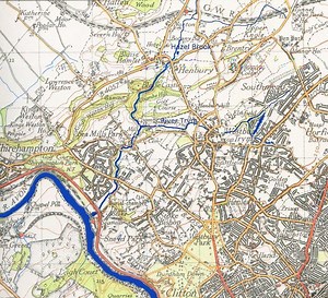 Hazel Brook - Alchetron, The Free Social Encyclopedia