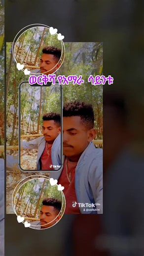 Werku on TikTok