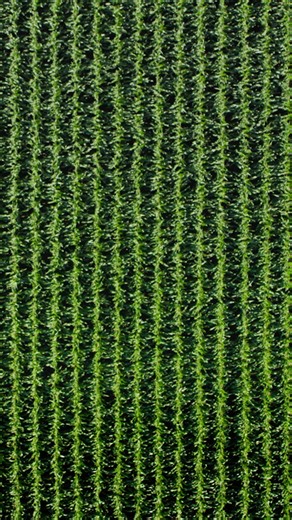 Change is the only constant and we’re changing the entire game for farmers. We’re unleashing more innovation and more ways for farmers to protect their fields and their legacy. See how we’re bringing innovation to every angle of the agriculture industry. | Bayer Traits & Systems