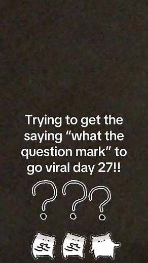 What the Question Mark: Day 27 Update