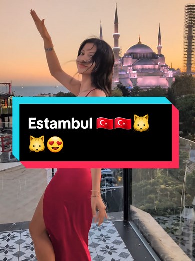 Descubre la Magia de Estambul con Gatitos