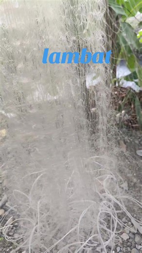 Monofilament Fishing Net: 1/3 Layers Explained