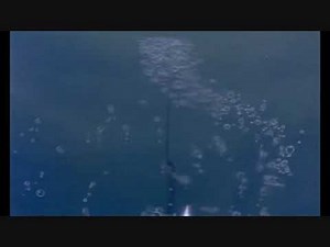 Bedknobs and Broomsticks - The Beautiful Briny Sea Part 2