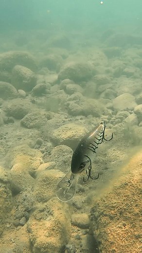 DT-10 in Rootbeer Craw is repping a little blaze orange for hunting szn🔥 #rapala #rapalafishing #rapalalures | Rapala