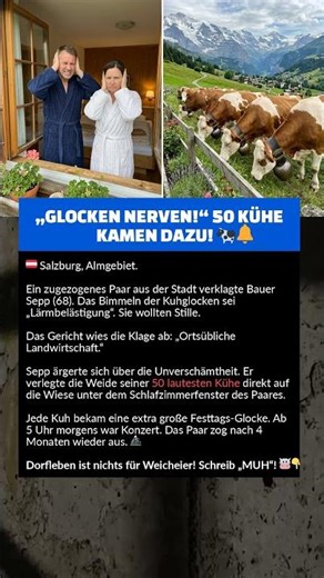 „GLOCKEN NERVEN!“ 50 KÜHE KAMEN DAZU! 🐄🔔