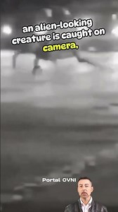 Otherworldly Miami Alien Stuns City! Extraterrestrial Encounter Caught on Camera! 👽🎥 #alien #miami