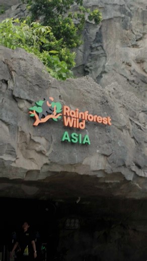 We marked a milestone with the opening of Rainforest Wild ASIA today! 🌿🎉 Ms Grace Fu, Minister for Sustainability and the Environment and Minister-in-charge of Trade Relations, officiated the launch of our fifth wildlife park at the Mandai Wildlife Reserve. Thank you to the beneficiaries from Fei Yue Community Services and Team Singapore, for celebrating with us! Come visit, engage with nature and discover wildlife in unexpected corners. We look forward to welcoming you! Find out more and book