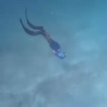 Bayahibe Freediving Course Near Me | Freedivingdr