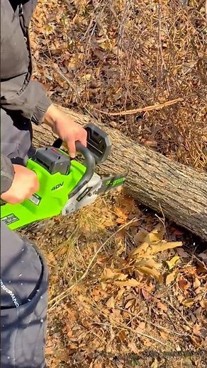 Cutting a Fallen Tree with a 40V Electric Chainsaw in the Woods