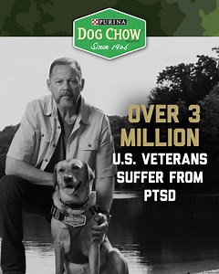 343K views · 195 reactions | Over three million military veterans struggle with Post-Traumatic Stress Disorder (PTSD). Dog Chow is on a mission to help by connecting veterans with PTSD service dogs. Learn more. | Purina Dog Chow | Facebook