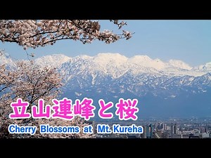 Cherry Blossoms at Mt.Kureha & Matsukawa with Relaxing Music ( Toyama ) / Spectacular Views of Japan