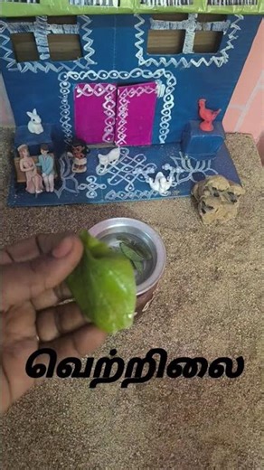 Miniature cooking#tinycolorfood #minifood #classictinyfood
