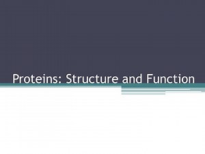 Proteins: Structure and Function - SlideServe