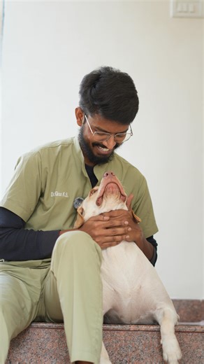 Dr. Paws | Why vets use fluid therapy: to stabilise, rehydrate and help your pet recover faster 💧 [Dr paws, veterinary care, pet clinic, dogs of... | Instagram