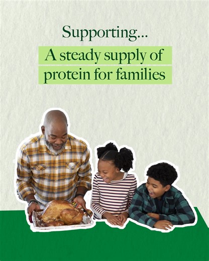 2.1K reactions · 16 shares | From beef and pork to chicken and fish, we support animals with the right nutrition so they can reach their full potential. | Cargill | Facebook