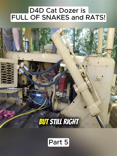 15K views · 145 reactions | D4D Cat Dozer is FULL OF SNAKES and RATS! (Part 5) #rusttoroar #willitstart #fblifestyle | Rust to Roar | Facebook