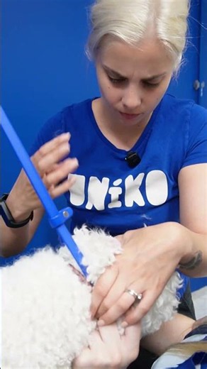 Grooming nije uvijek lijep! 😩