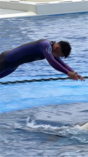 朝のトレーニングでステラと一緒に神戸須磨シーワールドへ