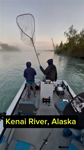 Making it Look easy Kenai River Coho Salmon #alaska #coho #fishing #silversalmon #salmon | Alaska Living, History and Outdoors