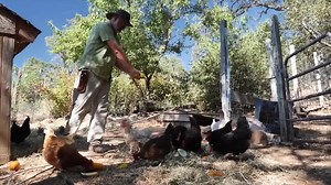 26K views · 205 reactions | Looking for a new and meaningful career...