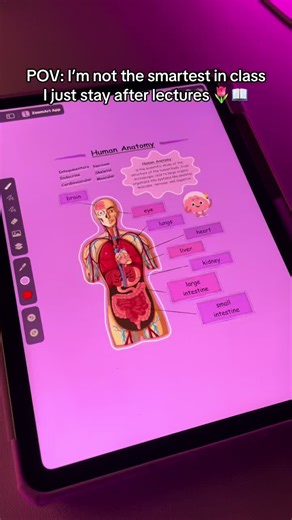 Gentle Note-Taking Tips for Med Students