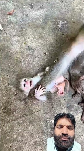 Shorts and video ##9