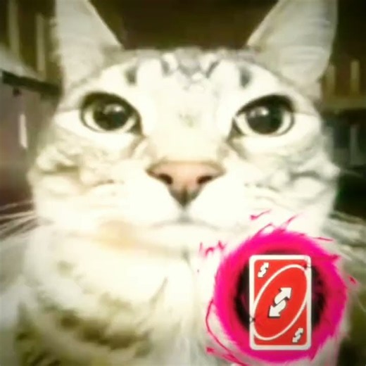 uno reverse card#uno#capcut#template#