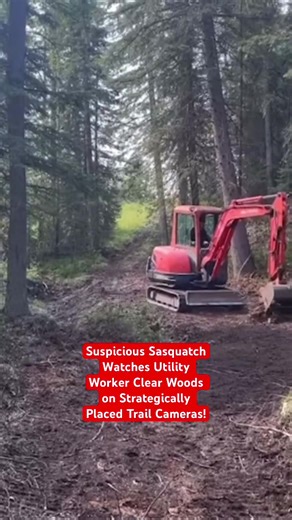 Suspicious Sasquatch Watches Utility Worker Clear Woods on Strategically Placed Trail Cameras! #Suspicious #Sasquatch #Work #Bigfoot #FYP