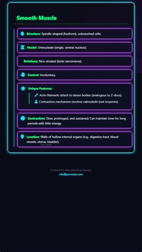 Smooth and Cardiac Muscle: Unique Characteristics and Contraction