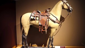 'Caballeros y Vaqueros': National Cowboy Museum explores global origins of cowboys and their gear with bilingual exhibit