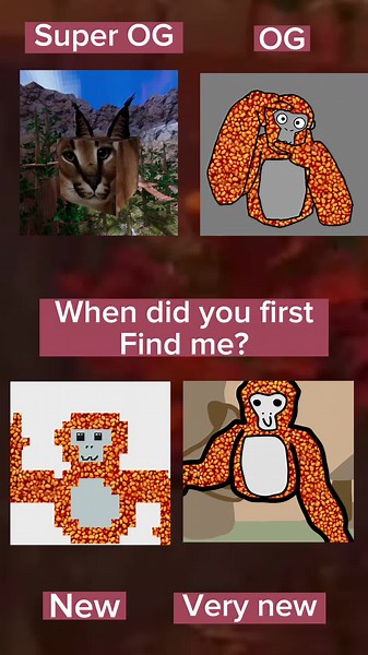 Best gtag account ever #gorillatag #vr #newaccount #goofy #floppa #floppathecat