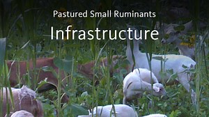 Pastured Small Ruminants Production – Facilities and Equipment