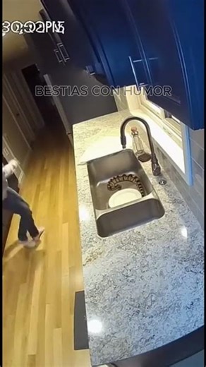 What a scare this girl got with this snake #snake #snakes