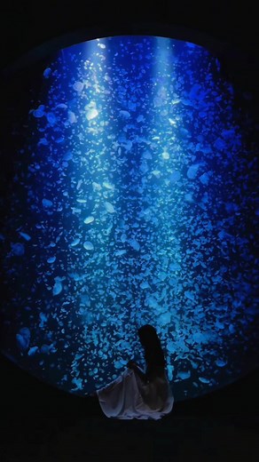 思い出の水族館デートスポット