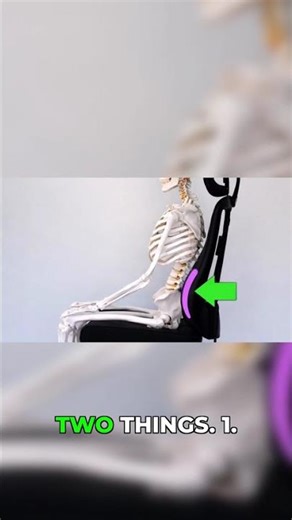 Best Office Chair : Lumbar Support Feature You NEED