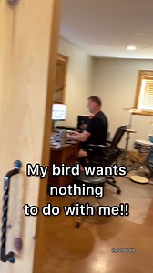 2.7M views · 10K reactions | Pluto is OBSESSED with my dad!!!  . . . . #lol #funny #haha #meme #memes #birds #birdsofinstagram #parrots #parrot #parrotsofinstagram #conure #sunconure #family #animals #love #bestfriend #bestfriends #cute #cuteanimals #animals #animallovers | Pluto Birdie | Facebook