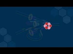 The Role of DNA Helicase