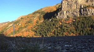 Get ready to pack your bags and stay for a while! If you’re thinking of taking an extended vacation, watch this video to get started. Where would you like to go on an extended trip? | AARP Medicare Supplement Insurance Plans from UnitedHealthcare