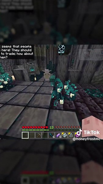 Minecraft Villager Prank Gone Wrong - TNT Revenge?