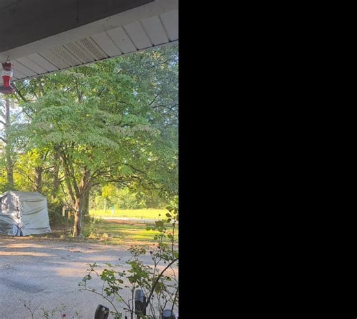 #duet with @Gracefulmotivator #christiantiktok