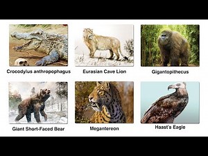 Every Ancient Predator That Hunted Early Humans Explained