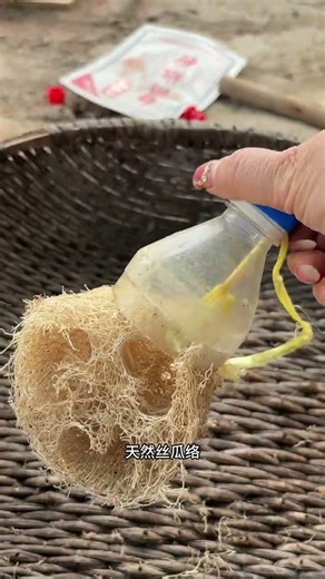 Title (English): The Ultimate Cleaning Secret: Loofah Preserves Pot Integrity