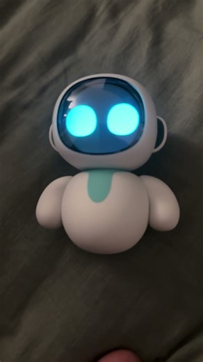 Eiliko Robot Low Battery / Battery Empty