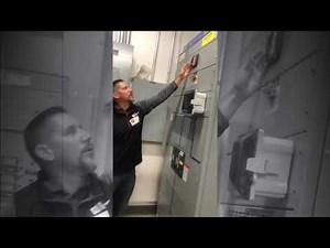 Pringle Switch Training