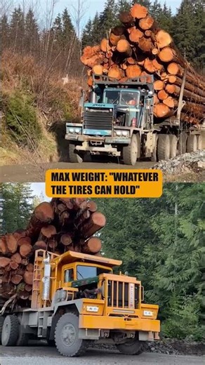 Why Loggers Are the Cowboys of Trucking 🤠🪵