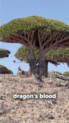 This Island Looks Completely Alien #shorts #island #nature