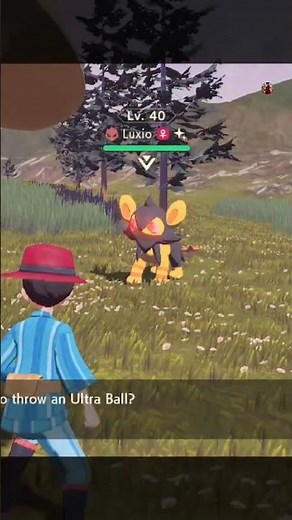 Catching Shiny Alpha Luxio!