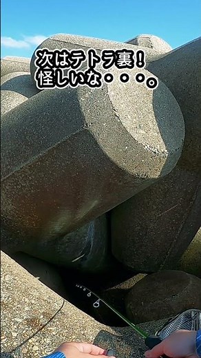 テトラの奥に隠れていたのは #穴釣り #釣り #fishing