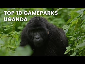 Top 10 Must Visit National Parks in Uganda